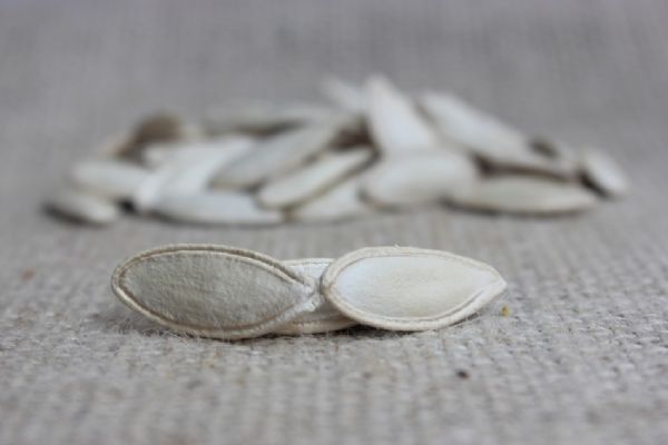 Kabak Çekirdeği